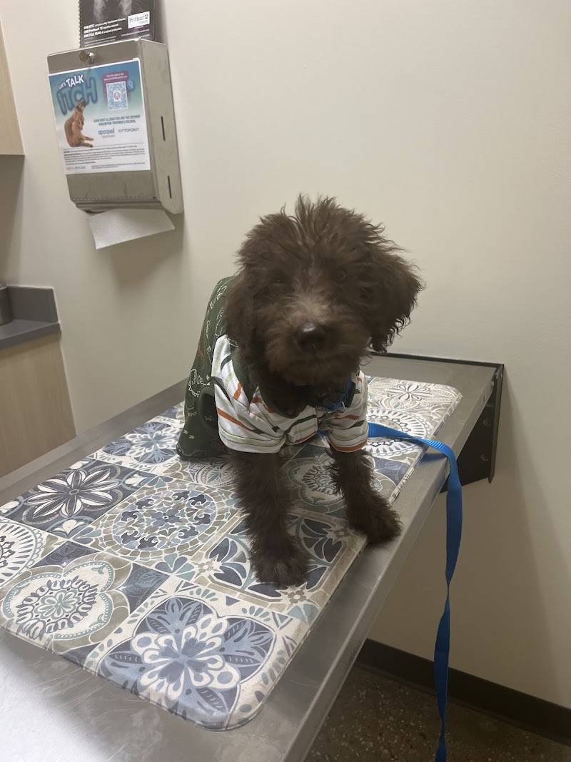 Vetco Total Care Animal Hospital